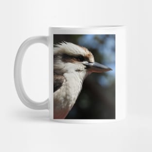 Kookaburra Mug